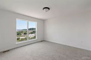 3013 Yellow Birch Ct, Imperial, MO 63052 - Photo 12