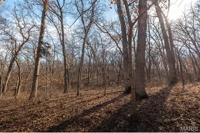 61120 Jubilee, Greendale, MO 63545 - Photo 76