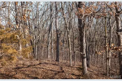 61120 Jubilee, Greendale, MO 63545 - Photo 20