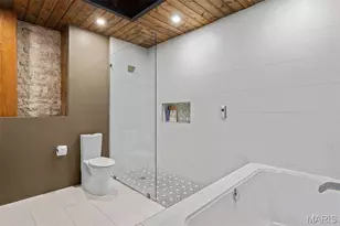 703 N 13, Saint Louis, MO 63103 - Photo 22