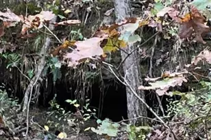 2091 Frene Creek Rd, Hermann, MO 65041 - Photo 70