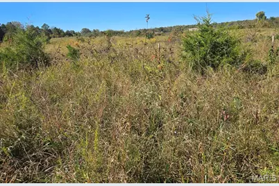 000 County Road 455, Birch Tree, MO 65438 - Photo 6