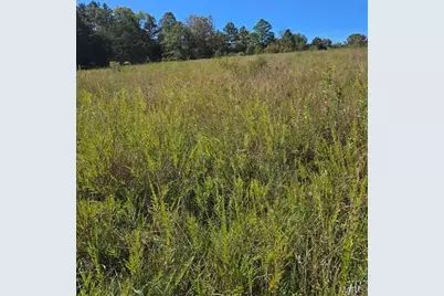 000 County Road 455, Birch Tree, MO 65438 - Photo 10