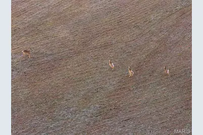 00 Highway B Highway, Elsberry, MO 63343 - Photo 98