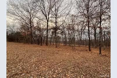 3+/- Acres Hwy O, Wright City, MO 63390 - Photo 10