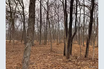 6+/- Acres Hwy O, Wright City, MO 63390 - Photo 4