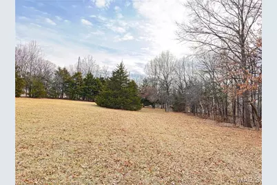 6+/- Acres Hwy O, Wright City, MO 63390 - Photo 1