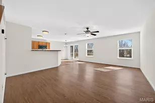 728 English Ivy, O'Fallon, MO 63368 - Photo 4