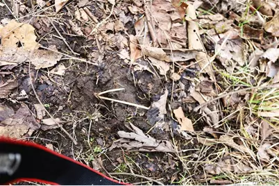 00 Roderick Road, Cadet, MO 63630 - Photo 16