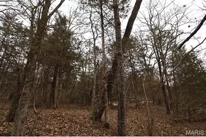 00 Roderick Road, Cadet, MO 63630 - Photo 28