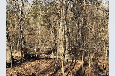 00 Roderick Road, Cadet, MO 63630 - Photo 32