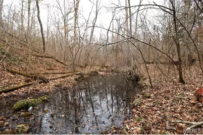 00 Roderick Road, Cadet, MO 63630 - Photo 26