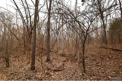 00 Roderick Road, Cadet, MO 63630 - Photo 18