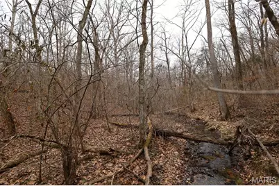 00 Roderick Road, Cadet, MO 63630 - Photo 24