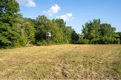 0 County Road 532 Tract 2, Williamsville, MO 63967 - Photo 2