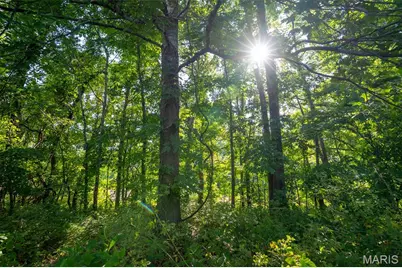0 County Road 532 Tract 2, Williamsville, MO 63967 - Photo 6