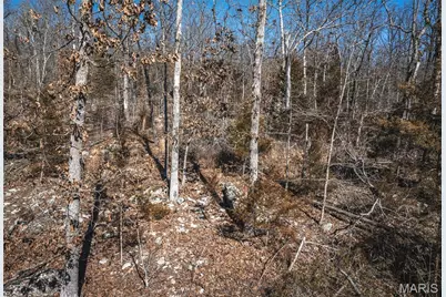 58 State Highway F, Potosi, MO 63664 - Photo 24