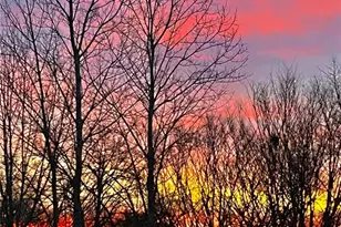 2858 Dardenne Links Dr, O'Fallon, MO 63368 - Photo 40