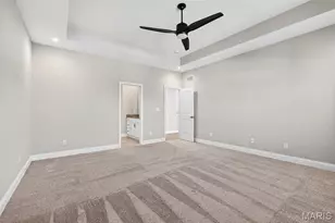 503 Spruce Holw Ct, Wentzville, MO 63385 - Photo 24