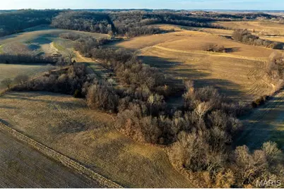 11742 Highway D, Louisiana, MO 63353 - Photo 50