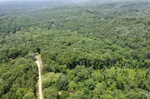 10282 Annette Ave, Potosi, MO 63664 - Photo 1