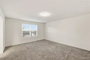 312 Chestnut Creek Cir, Dardenne Prairie, MO 63368 - Photo 46