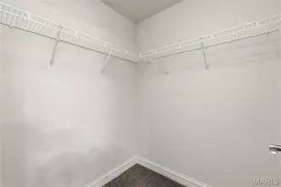 312 Chestnut Creek Cir, Dardenne Prairie, MO 63368 - Photo 54