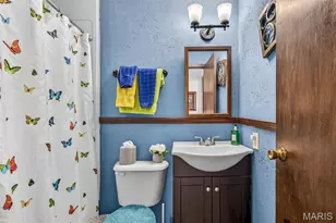 513 Rue Montalivet, Bonne Terre, MO 63628 - Photo 28