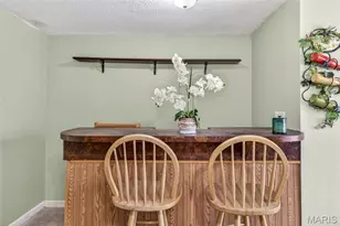 513 Rue Montalivet, Bonne Terre, MO 63628 - Photo 38