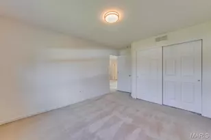 253 Village Creek Dr Dr, Ballwin, MO 63021 - Photo 46