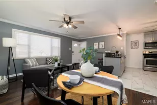 6564 Villa Ave, Saint Louis, MO 63139 - Photo 8