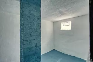 4471 Dewey Ave, Saint Louis, MO 63116 - Photo 20