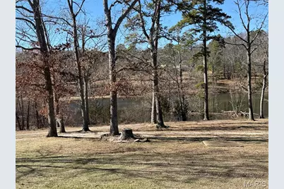 10745 Ridgely Road, Potosi, MO 63664 - Photo 10