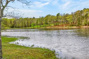 10745 Ridgely Rd, Potosi, MO 63664 - Photo 16