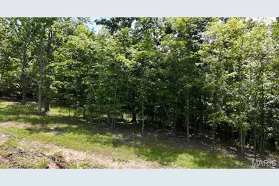 1956 Tanglefoot Farms Road, Festus, MO 63028 - Photo 2