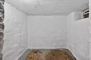 3903 Prather Ave, Saint Louis, MO 63109 - Photo 70