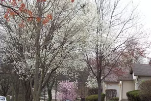 3110 Autumn Shores Dr, Maryland Heights, MO 63043 - Photo 36