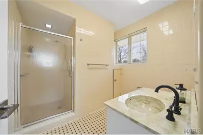 62 Briarcliff, Saint Louis, MO 63124 - Photo 36