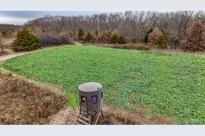 000 Truxton Church Road, Truxton, MO 63381 - Photo 18