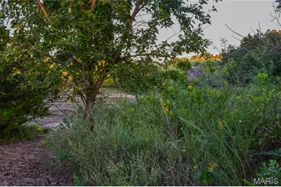 000 Truxton Church Road, Truxton, MO 63381 - Photo 40