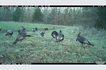 000 Truxton Church Road, Truxton, MO 63381 - Photo 54