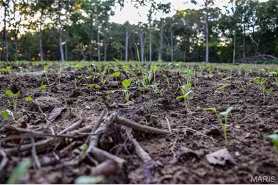 000 Truxton Church Road, Truxton, MO 63381 - Photo 36