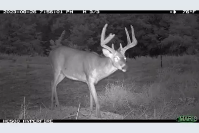 000 Truxton Church Road, Truxton, MO 63381 - Photo 48