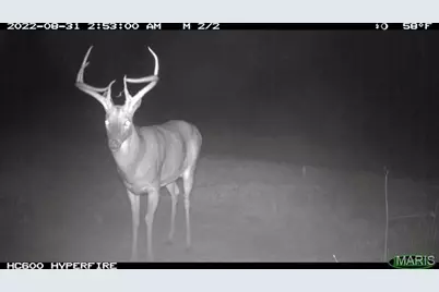 000 Truxton Church Road, Truxton, MO 63381 - Photo 52