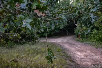 000 Truxton Church Road, Truxton, MO 63381 - Photo 30