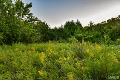 000 Truxton Church Road, Truxton, MO 63381 - Photo 38