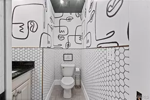 4418 Connecticut St, Saint Louis, MO 63116 - Photo 20