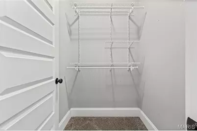 4418 Connecticut Street, Saint Louis, MO 63116 - Photo 36