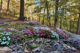 832 Stone Bridge Springs Dr, Wildwood, MO 63005 - Photo 78