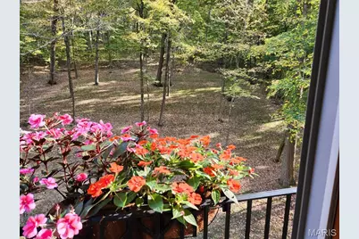 832 Stone Bridge Springs Drive, Wildwood, MO 63005 - Photo 4